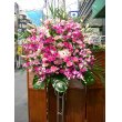 福岡県福岡市中央区むさしやの花　お祝い生花スタンド