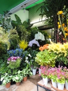 福岡県福岡市中央区の花屋　むさしや